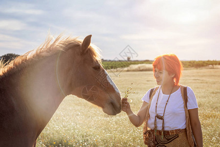 农村一匹马附近有红背景图片