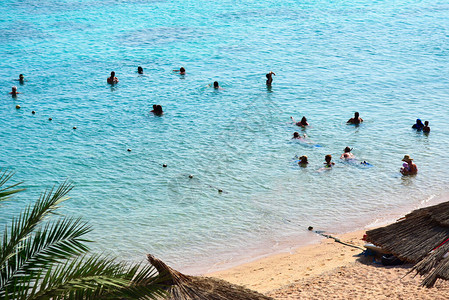 人们在酒店的海边游泳图片