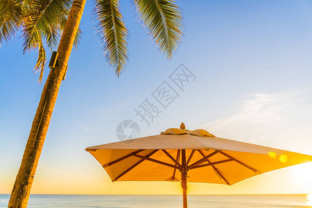美丽的热带自然伞椅图片