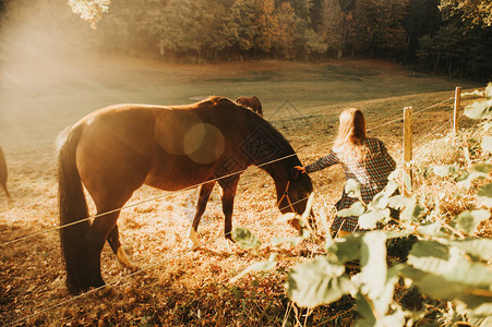 夕阳下与马玩耍的小女孩图片