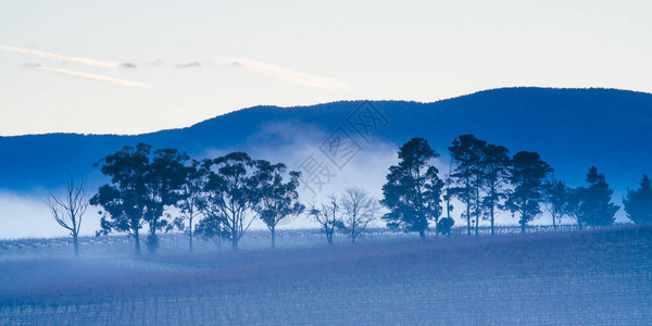 在澳大利亚维多利亚州拉峡谷寒冷的薄雾和冰霜的清晨图片