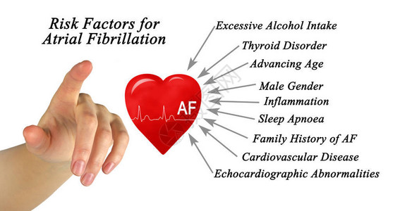 心房颤动的危险因素图片