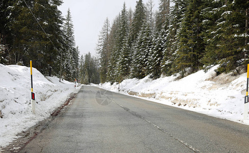 冬季没有汽车山上冷冻的铁松林和其他小便背景图片