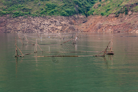 大宁河上的滴翠峡谷棕色石头海岸线前翡翠绿水中的鱼栏特写镜头图片