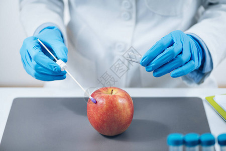 食品实验室分析生物化学家在苹果中寻找图片