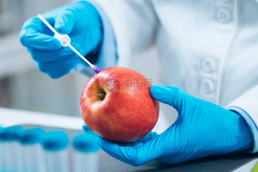 在实验室中对苹果进行食品安全农药和硝酸盐测试寻找苹果实中是否存在农药和硝酸盐图片