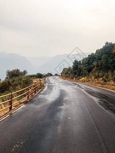 白日森林覆盖的山区间空道路图片