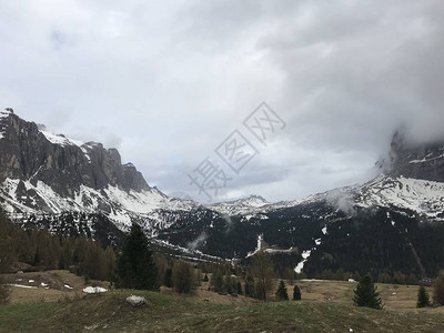 白天森林覆盖的雪山风景如画图片