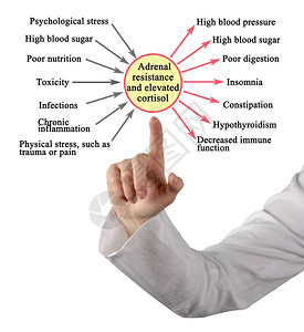 肾上腺抵抗和皮质醇升高图片