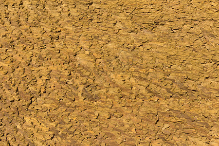 海边的沙石岩表面被太阳图片