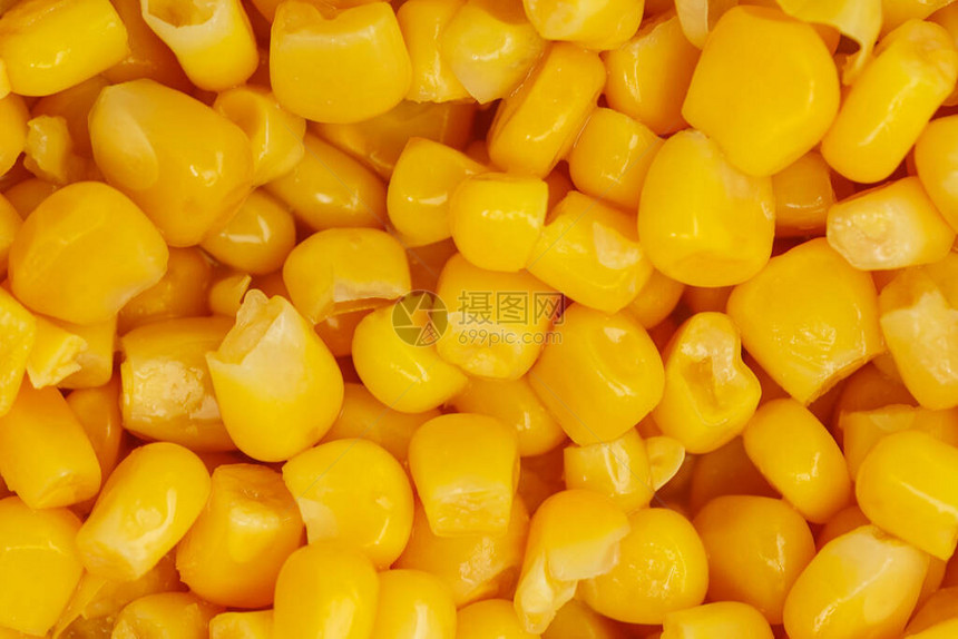 黄色玉米种子背景无图片