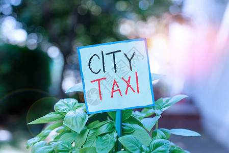 显示城市出租车的概念手写体图片