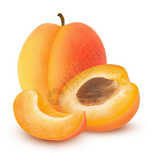 孤立的杏子新鲜的瓜子果实被白背景隔绝图片
