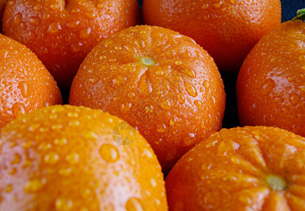 美味多汁的橘子成熟的橘子图片