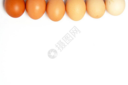 白色背景上有不同棕色的鸡蛋图片