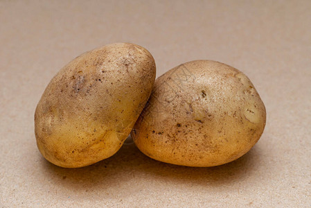 工艺色彩背景上的两个生脏土豆图片