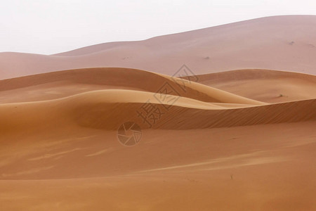 沙漠撒哈拉图片