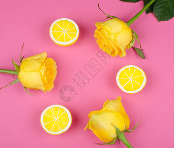 亮黄色玫瑰和柠檬在明粉红纸背景上形成圆形背景图片