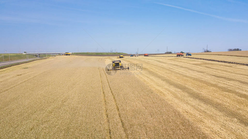 夏季收割小麦联合收割机农业机械在田间收集金色成熟的小麦图片