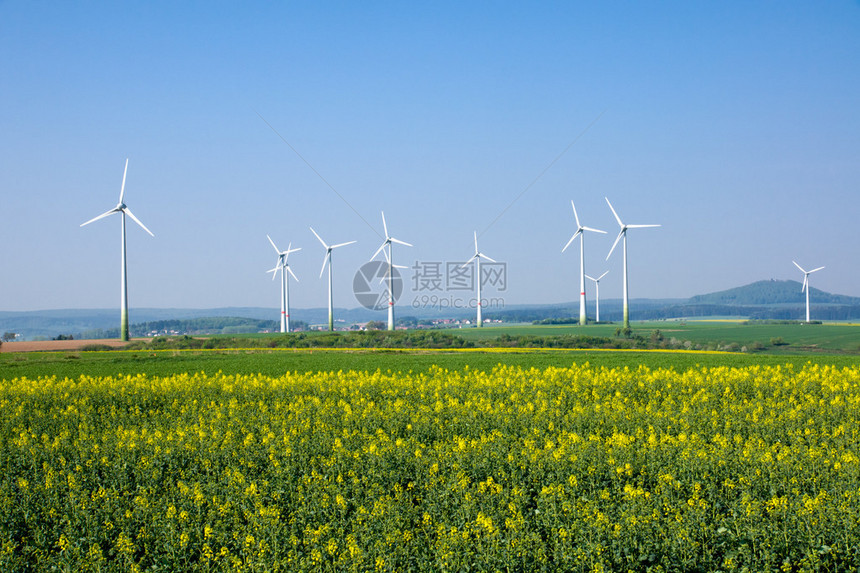 风车和德国农村的油菜田图片