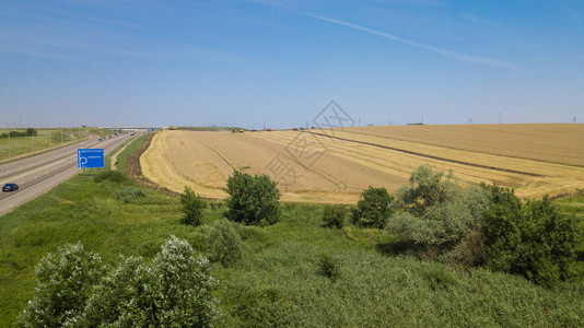 夏季收割小麦联合收割机农业机械在田间收集成熟的小麦图片