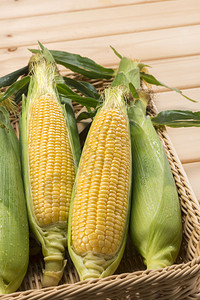 田间收获的新鲜美味的玉米图片