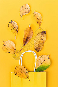 秋天成分纸袋底厚实的黄色树叶平面图片
