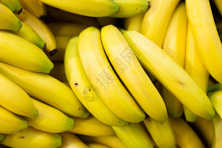 在季节市场销售的原始有机山洞香蕉丰富的维他命可持久图片