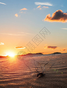 日落时的沙丘夕阳下的沙漠图片