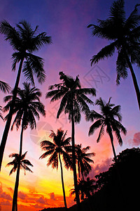 泰国素叻他尼安通群岛海洋公园清晨日出时图片