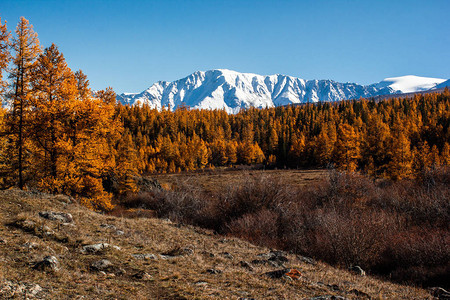 山上的秋天山雪脊和黄龙卷风全景图片