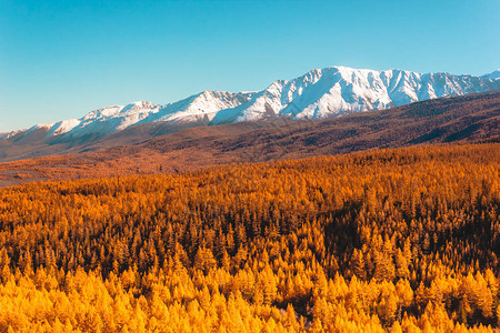 山上的秋天山雪脊和黄龙卷风全景图片