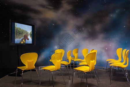 室内影视室内装有现代黄色椅子和动物狗旅行电影图片
