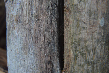 实木和加工木材表面纹理图片