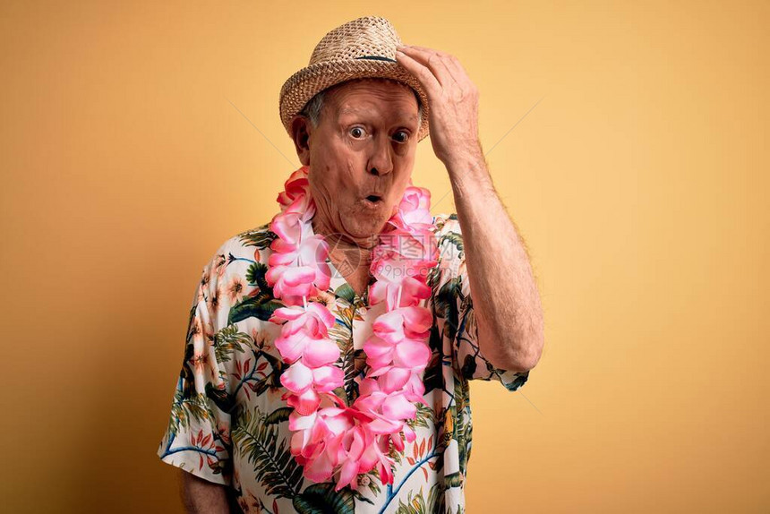 头发灰白的老人戴着夏天的帽子图片