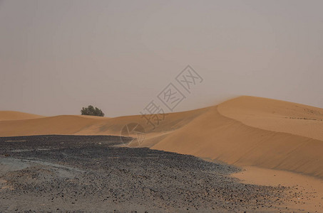 沙尘暴中SaharaErgChebbiDune附近Merzou图片