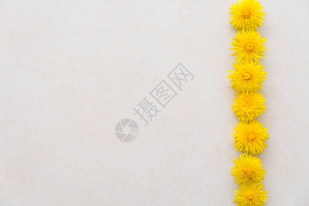 黄色花层位于光纹表面结婚卡平面背景图片