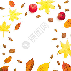 秋季框架组成白色背景上的落叶苹果松果秋天图片