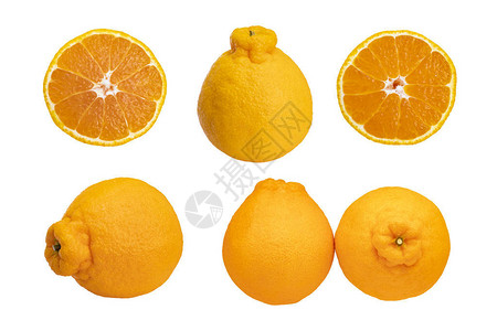 一组苏莫曼达林柑橘水果图片