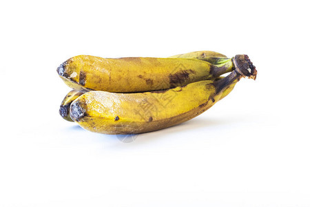 树枝上的水果香蕉是腐烂的破图片