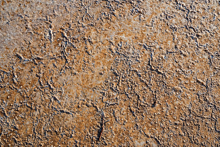 盐渍土的抽象米色背景纹理图片