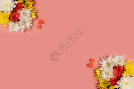 珊瑚玫瑰与白黄菊花珊瑚背景的组成图片