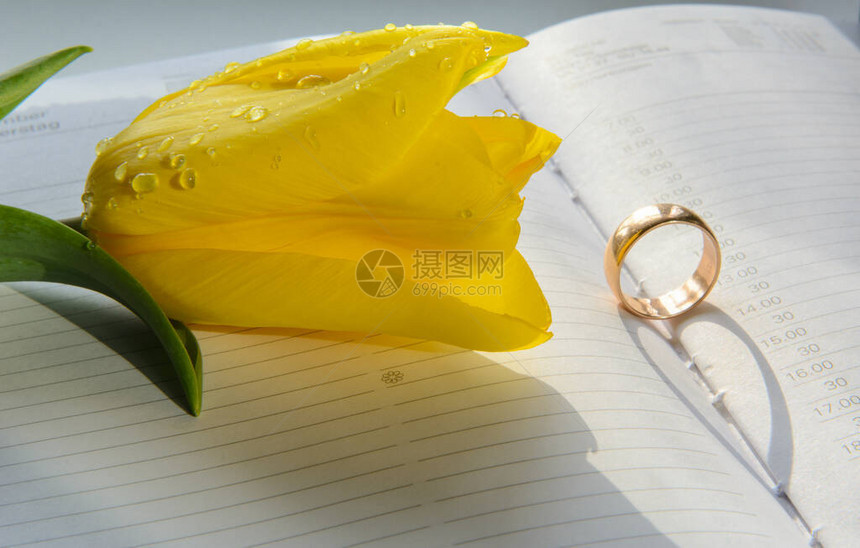 每周装订的黄金结婚戒指被太阳照亮心形的影子附近是水滴中的黄色郁金香花蕾概念订婚图片