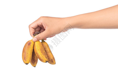 将香蕉手握在白色背景图片