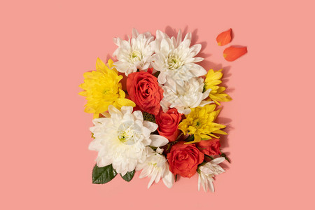 粉红色背景中的一束平躺式黄色和白色菊花图片