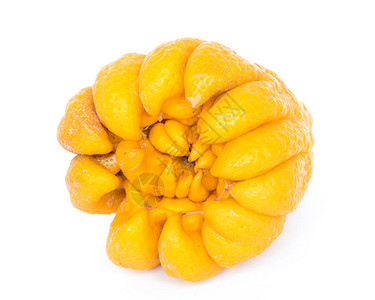 一种成熟的佛手果或佛手指香橼果柑橘药材背景图片
