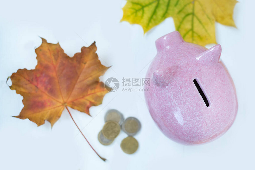 小猪银行的硬币和白底落叶秋图片