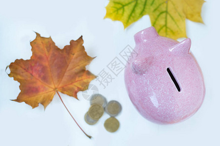 小猪银行的硬币和白底落叶秋图片