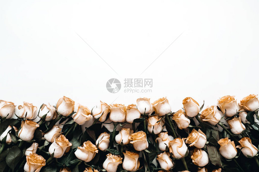 白背景的玫瑰花束图片
