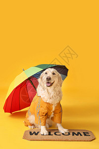 穿着雨衣和有彩色背景图片